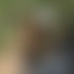 CREW HOTEL: #SOME1#BE#DRINKIN#DA#KOOLAID