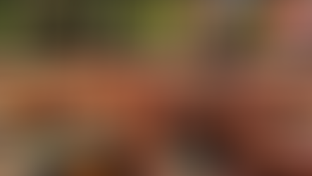 Grace Network's pumpkin patch fundraiser needs your help