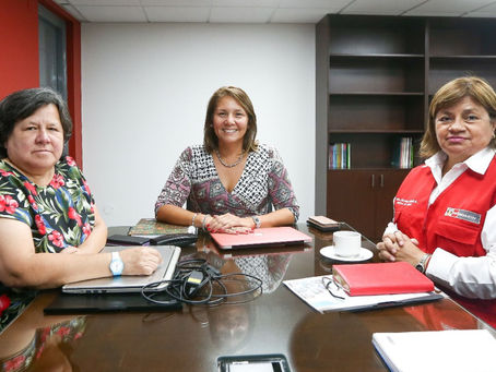 Trabajo articulado entre Midis y Salud permitirá fortalecer la prevención de la anemia
