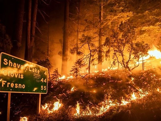 Gender Reveal Lights California Ablaze
