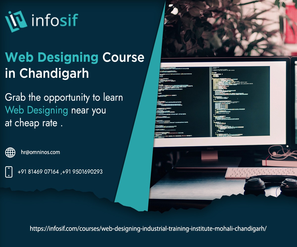 WEB DESIGN COURSE IN CHANDIGARH content media