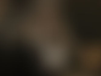 Storia di una ladra di libri (2013)