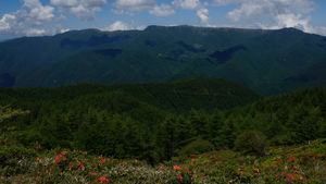2020/06/21 鉢伏山