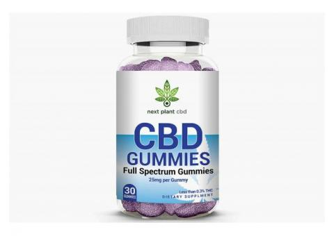 Next Plant CBD Gummies Review – Fake Formula or Legit Benefits? content media