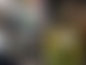 北車迷城生存指南 遊客心得—花花