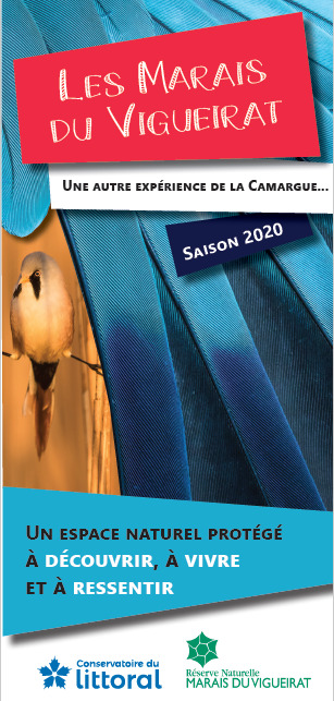 Flyer Marais du Vigueirat, création identité graphique