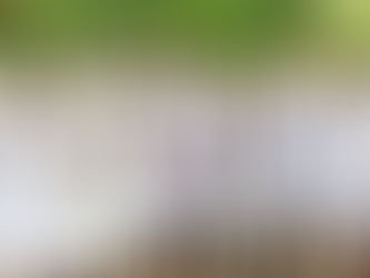 A baptism in the Caribbean Sea