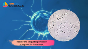 What is fertilisation and how it is achieved with ICSI?
