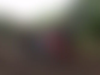 9m材注文 100本