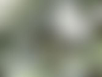 複雑という単純