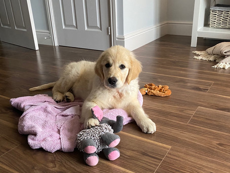 Donna in her new home ❤️
