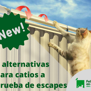 ¡Catio a prueba de escapes!