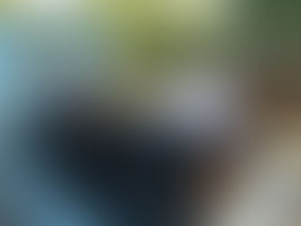 手作り施設徐々に充実・・・