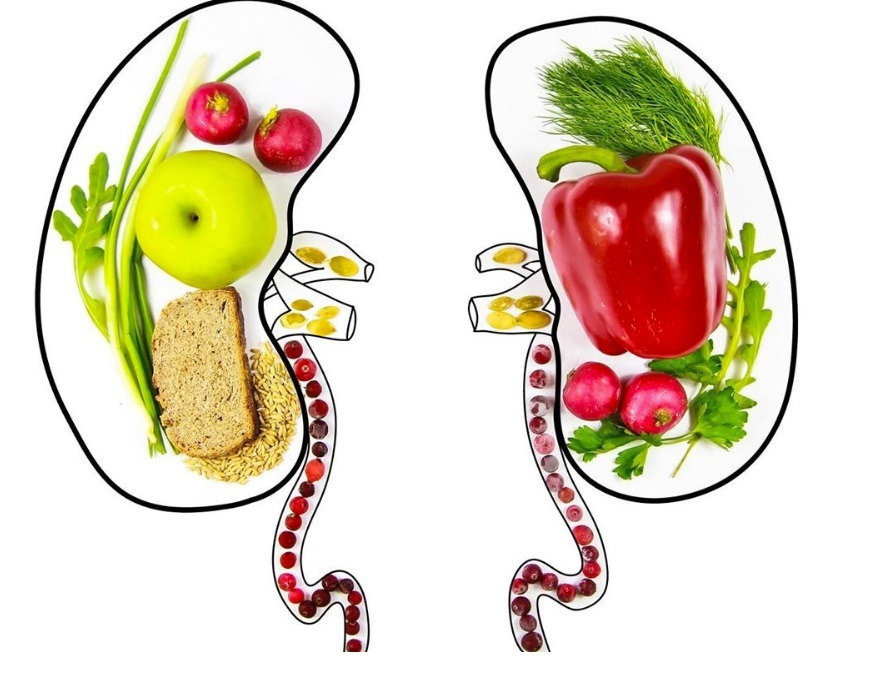 QUE SE PUEDE COMER EN ENFERMEDAD RENAL CR NICA QUE SE PUEDE COMER EN ENFERMEDAD RENAL CR NICA