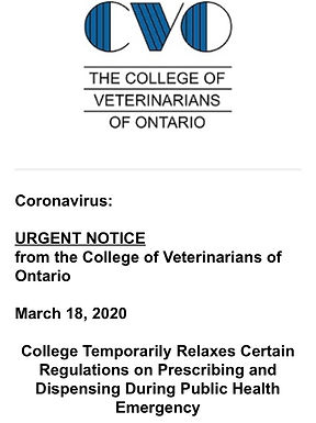 Telemedicine in Veterinary Medicine: more COVID-19 info