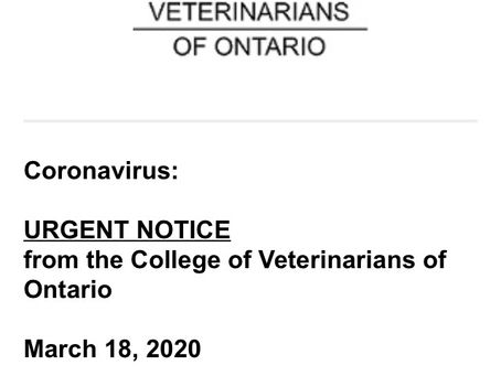 Telemedicine in Veterinary Medicine: more COVID-19 info