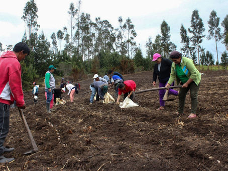 Perú impulsará políticas para promover desarrollo de pequeña agricultura
