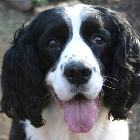 Goodbye To Our Dear Girl