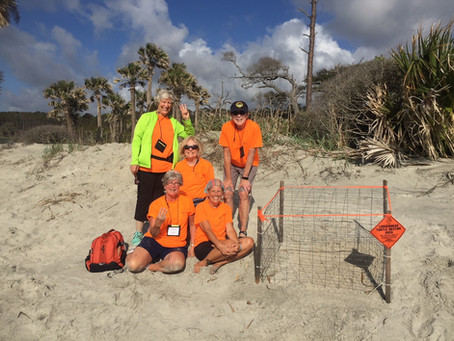 Pic of Nest #3 and the team that found it