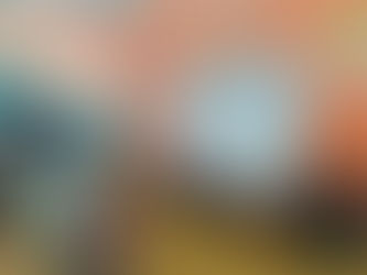 RED EDUCATIVA, CORALES INNOVADORES ELIGEN SU NIÑO DIPUTADO.