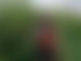 Paul in the Raspberry Patch