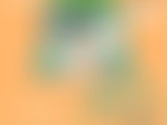 【文化攻略】第二屆澳門文化嘉年華