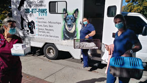 First Spay\Neuter MASH