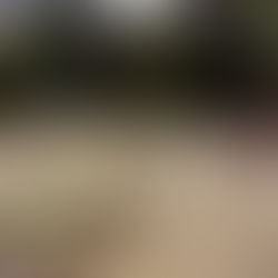 Inquilino habría asesinado a cuatro miembros de una familia en Las Terrazas