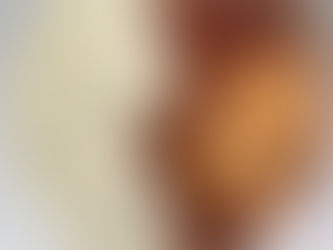 Brownie Batter Reese's Pieces Porridge (Dessert Porridge Series)