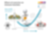 Effects of exercise on immune function and risk of infection
