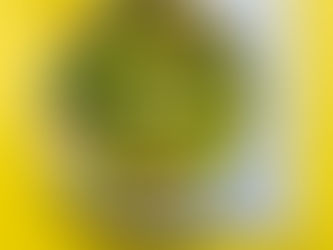 kepti žiediniai kopūstai su smidrais