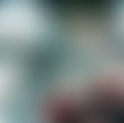 LA QUINTA TEMPORADA DE MY HERO ACADEMIA SE PODRIA ESTRENAR EN ABRIL 2021