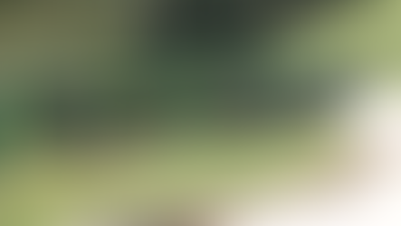 Patrick County High School seniors honored with surprise celebration