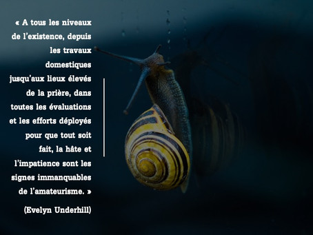 Perle de la semaine