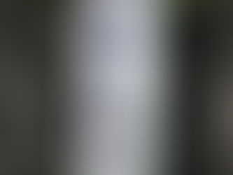 除草剤散布の是非