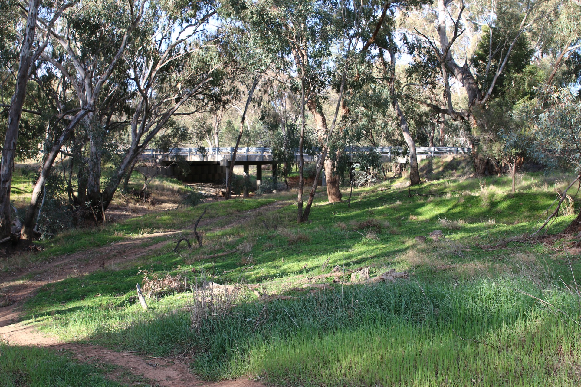 Ariah Park Heritage Trail content media