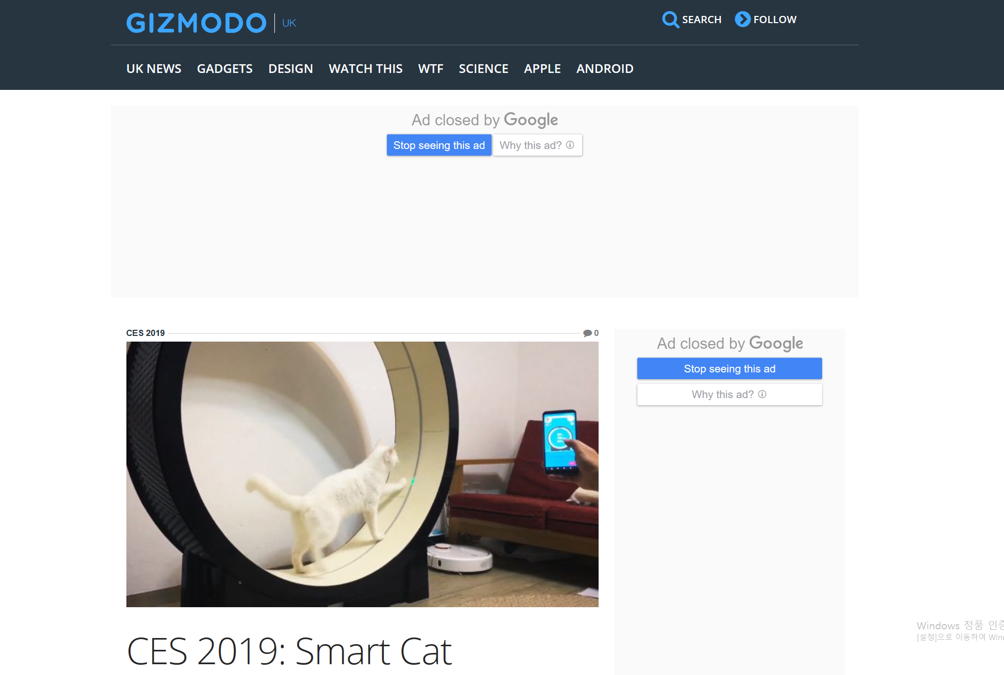 THE LITTLE CAT ON GIZMODO content media