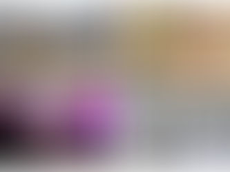 Guédelon, château de Saint-Fargeau... Les sites touristiques de Puisaye déconfinent progressivement