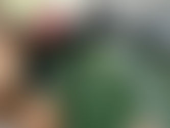 What do luffa gourds and aquaponics have in common?