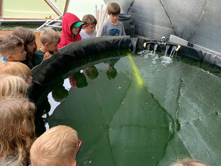 What do luffa gourds and aquaponics have in common?