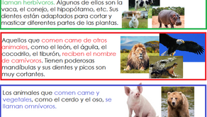 Los animales