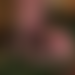 귀선님 집 침대 점령하기