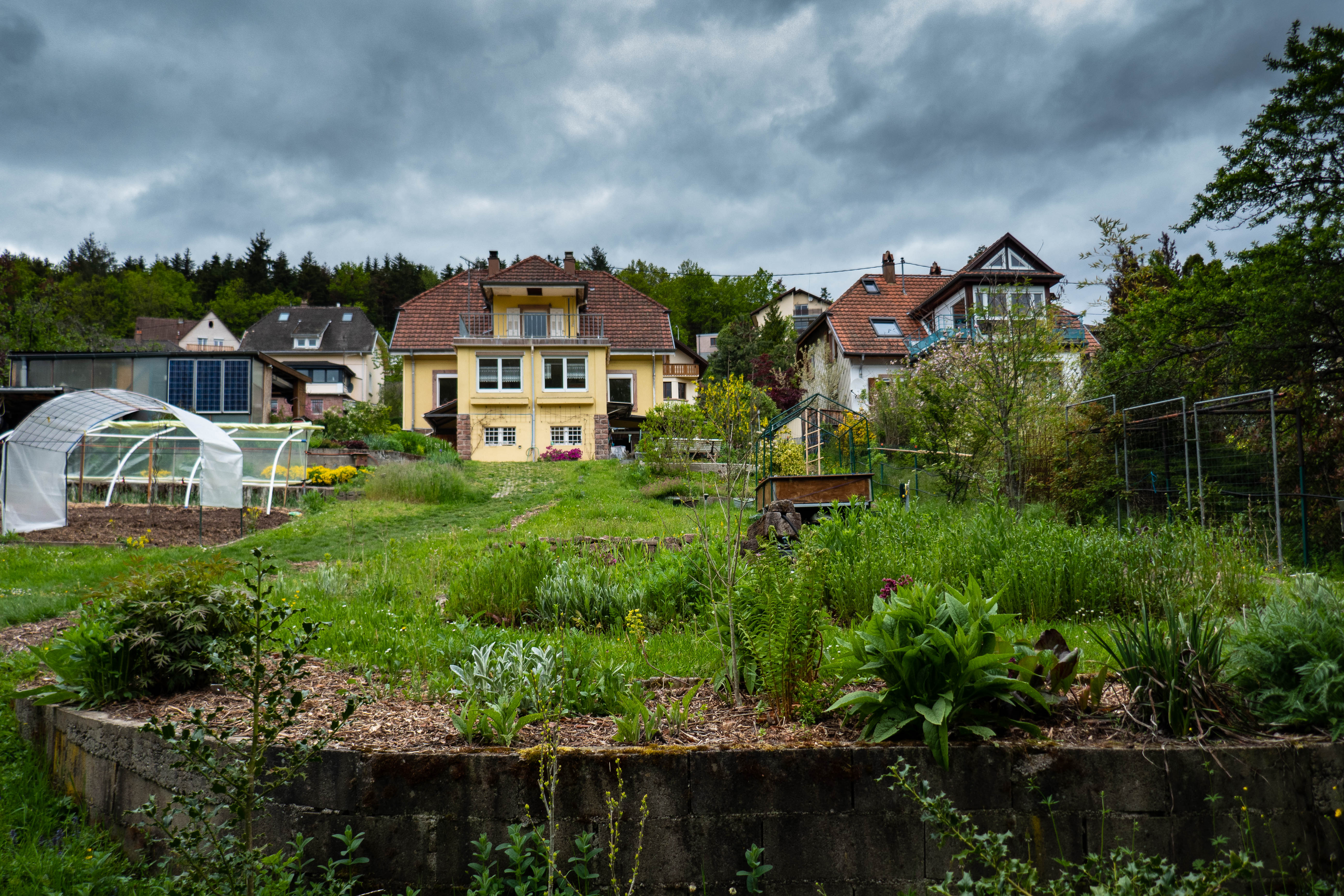 Le jardin de Chantal et Pierre content media