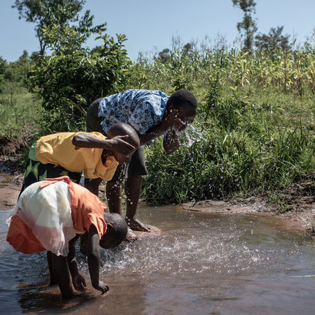 Send A Cow on the importance of WASH, gender and social inclusion.