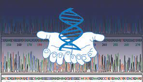 Genomics and the Future content media