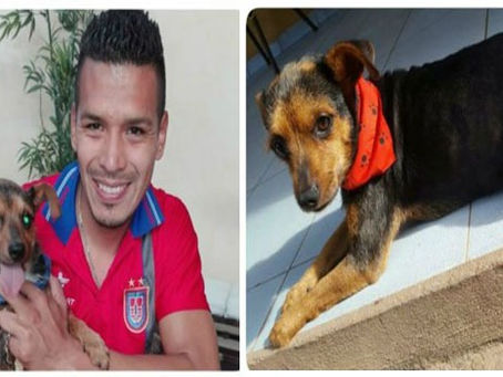 La mascota del futbolista  Marcos Andia lidera votación en un concurso
