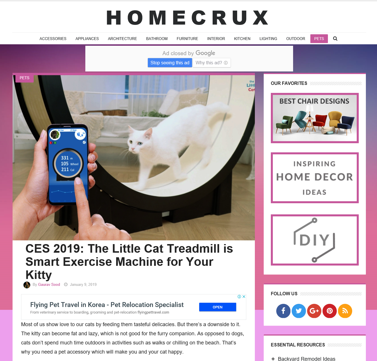 THE LITTLE CAT ON HOMECRUX content media