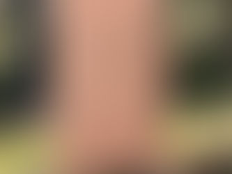 34 R.D. Blackmore, and the Distraction of Writing