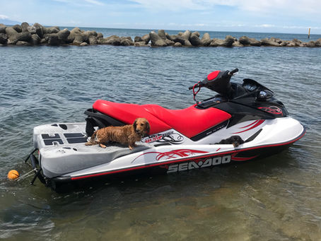 パーティーありがとうございました