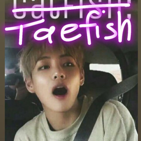 Taefished! 🦁🐟